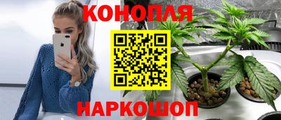 каннабис Усть-Джегута