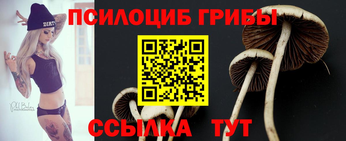 Жигулёвск  Галлюциногенные грибы Magic Shrooms  Вход с VPN 